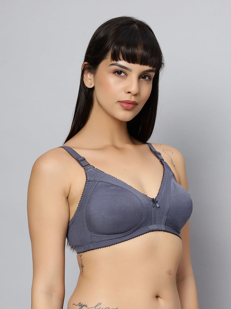 BlueNixie BN0210 New Colors C cup Cotton Rich T-Shirt Bra
