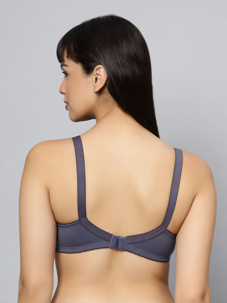 BlueNixie BN0210 New Colors C cup Cotton Rich T-Shirt Bra