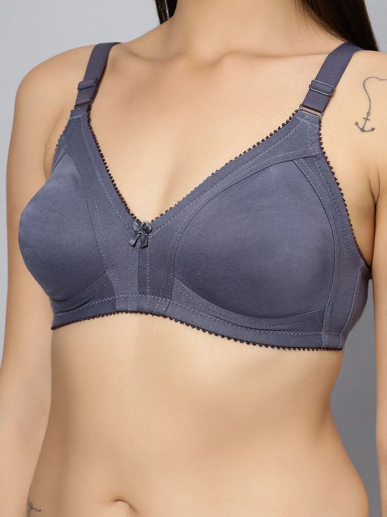 BlueNixie BN0210 New Colors C cup Cotton Rich T-Shirt Bra