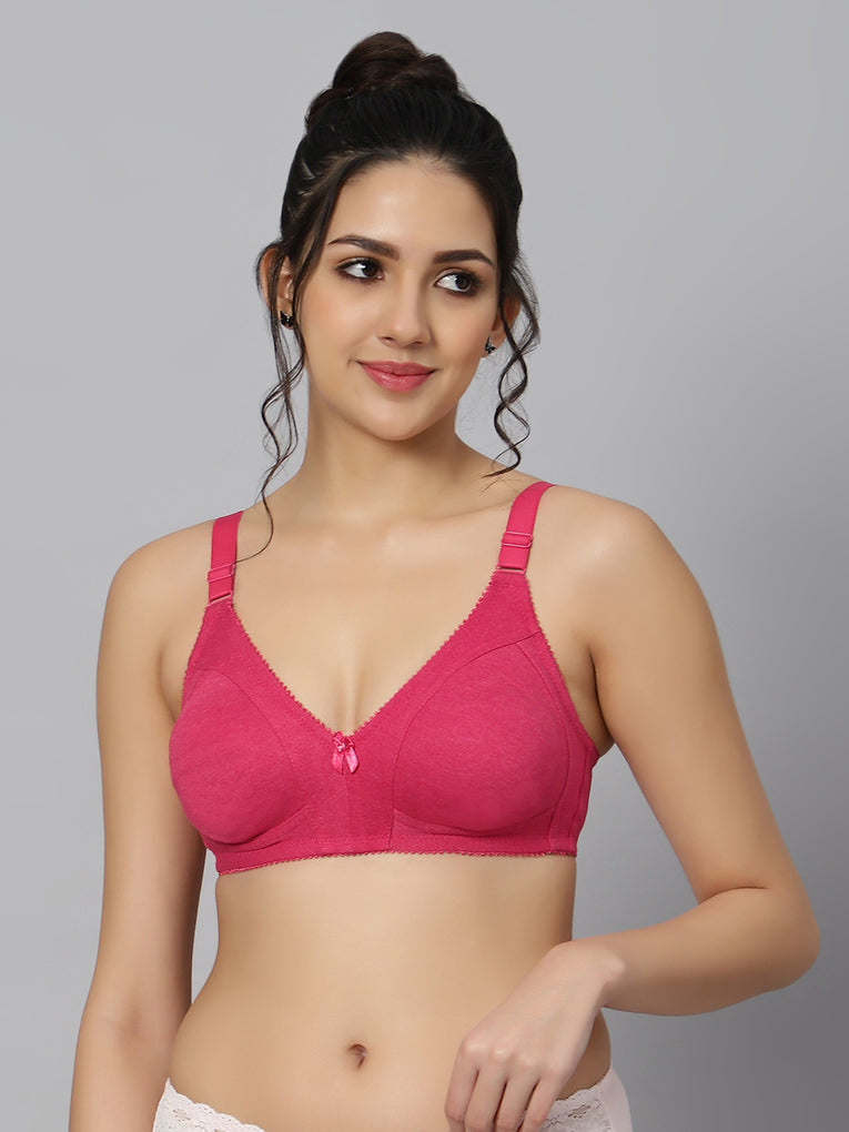 Bluenixie BN0210_Luxuriant Cotton Rich Full Coverage T-Shirt Bra