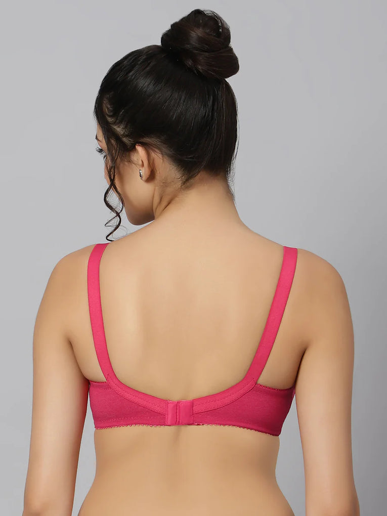 BlueNixie Best Cotton Rich T-Shirt Bra Combo set of 2 Pink-Skin Colors