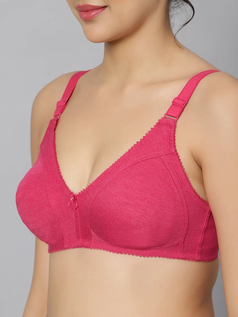 BlueNixie Best Cotton Rich T-Shirt Bra Combo set of 2 Pink-Skin Colors