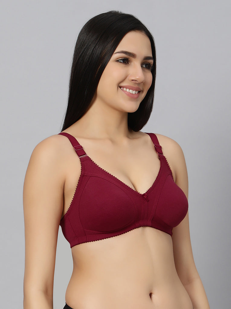 Bluenixie BN0210_Luxuriant Cotton Rich Full Coverage T-Shirt Bra