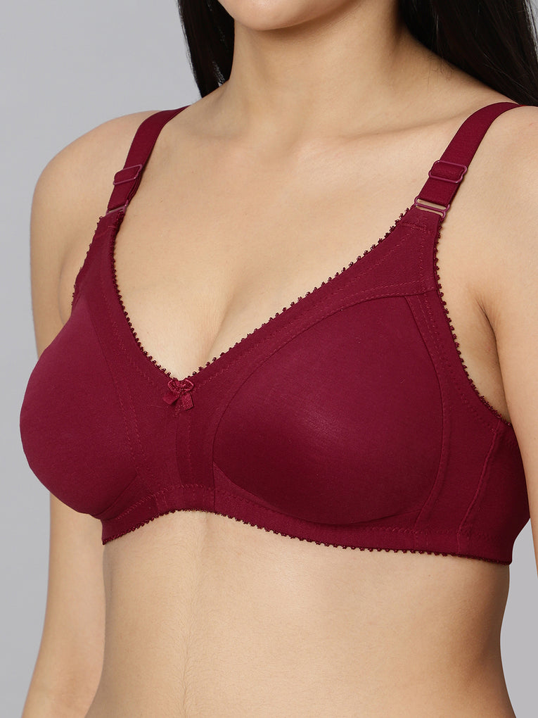 Bluenixie BN0210_Luxuriant Cotton Rich Full Coverage T-Shirt Bra