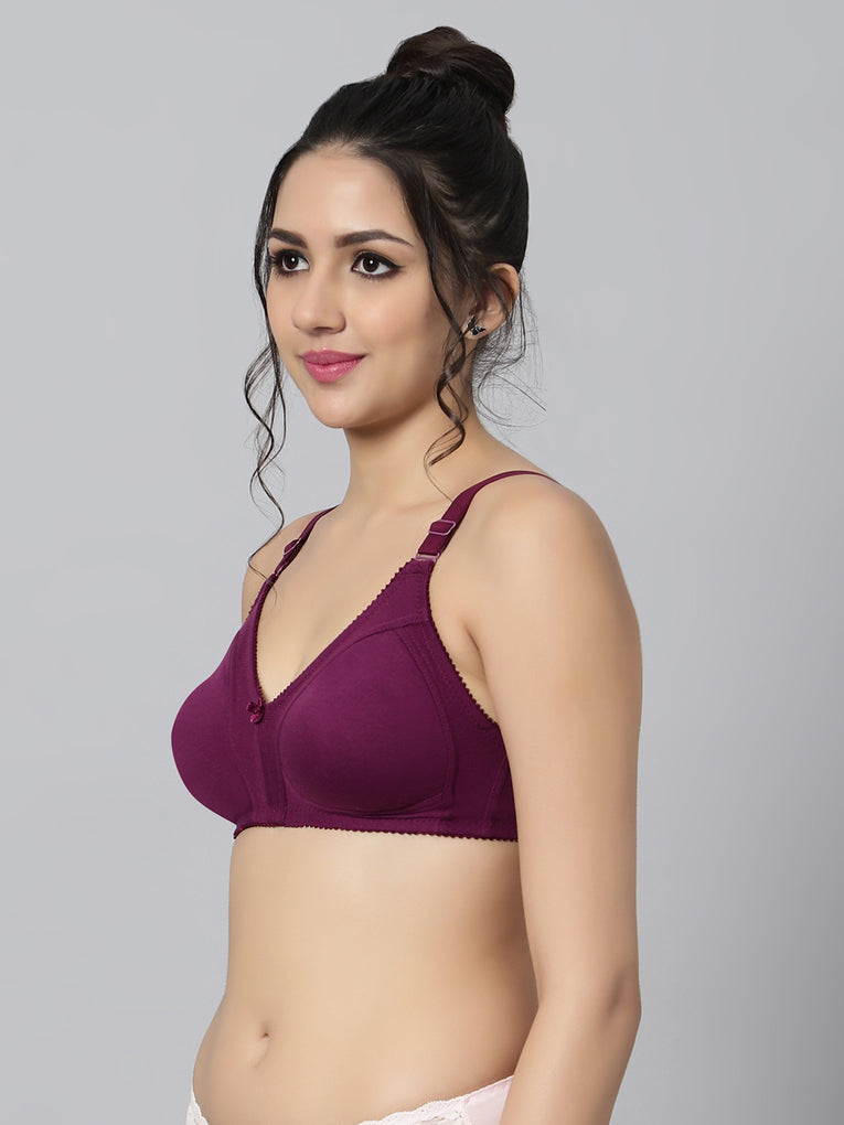Bluenixie BN0210_Luxuriant Cotton Rich Full Coverage T-Shirt Bra