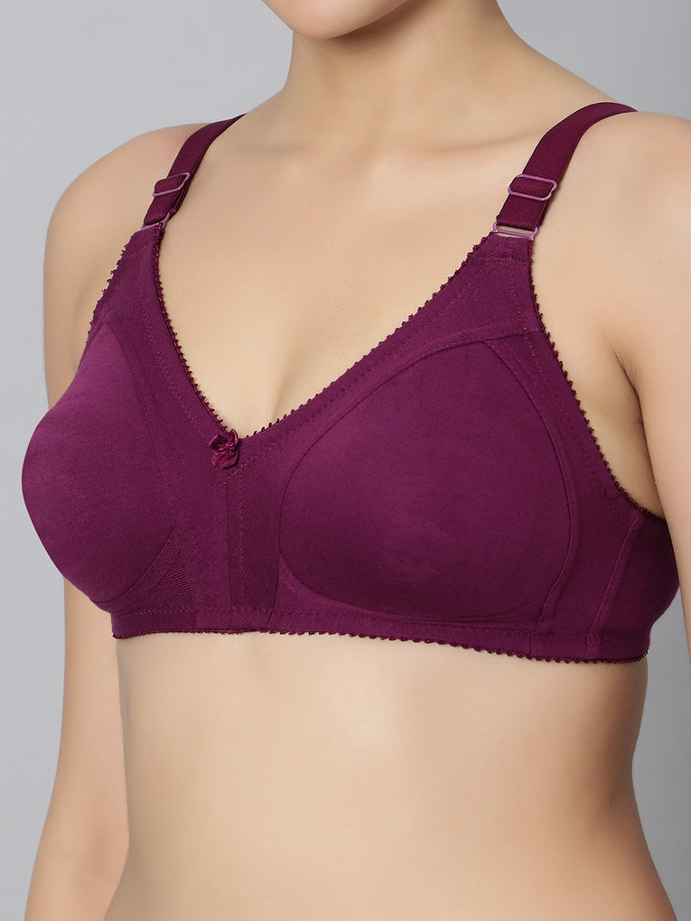 Bluenixie BN0210_Luxuriant Cotton Rich Full Coverage T-Shirt Bra