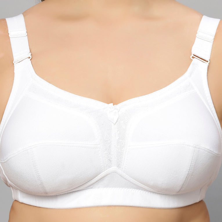Bluenixie BN2204_Monica Plus Size Cotton Rich Full Coverage Bra