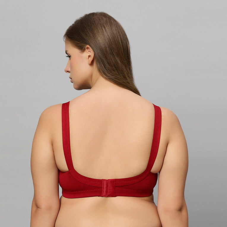 Bluenixie BN2204_Monica Plus Size Cotton Rich Full Coverage Bra