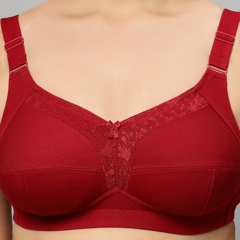 Bluenixie BN2204_Monica Plus Size Cotton Rich Full Coverage Bra