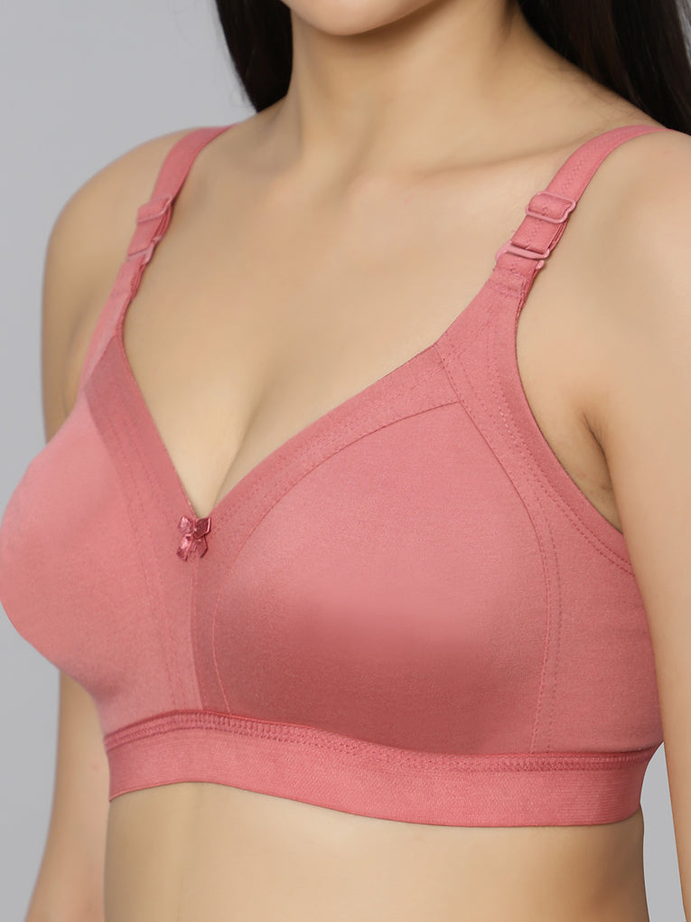 Bluenixie BN2514_Teesta_E Cups Full Coverage T Shirt Bra