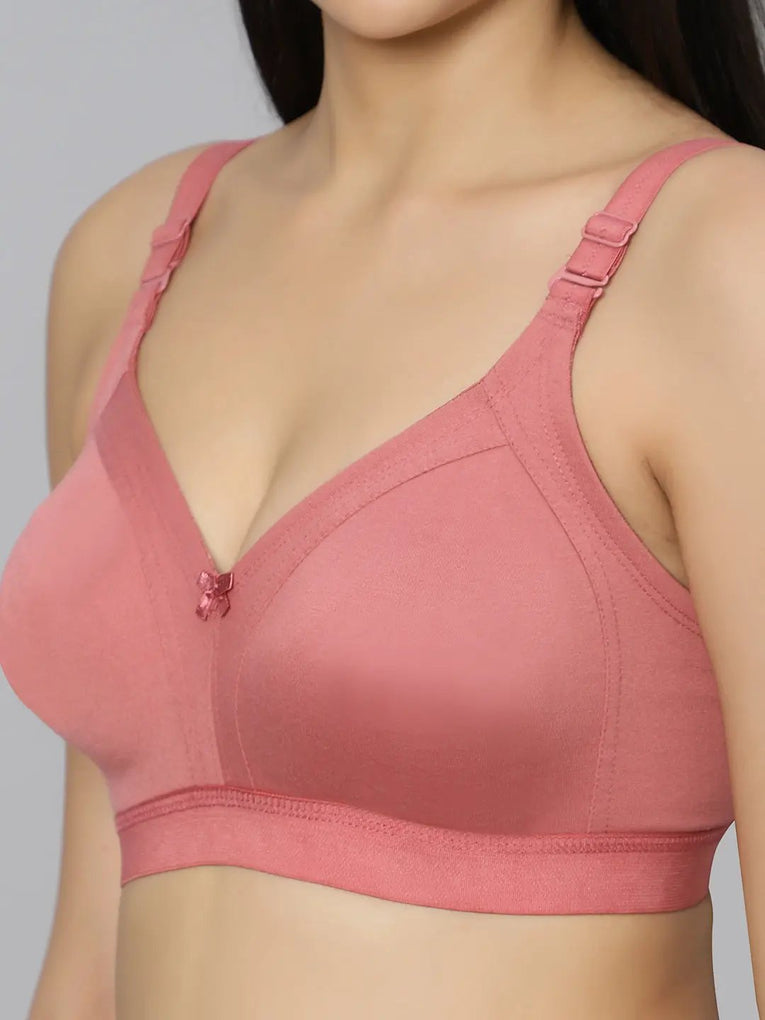 Bluenixie BN2514_Teesta C & D Cups Cotton Rich Full Coverage T-Shirt Bra