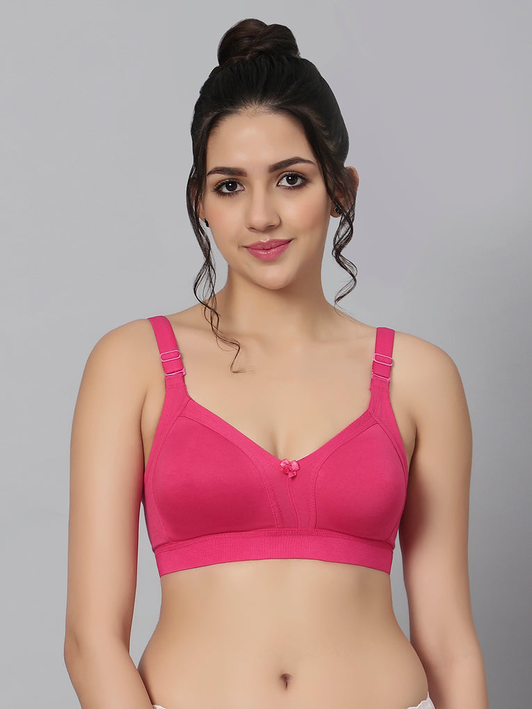 Bluenixie BN2514_Teesta C & D Cups Cotton Rich Full Coverage T-Shirt Bra