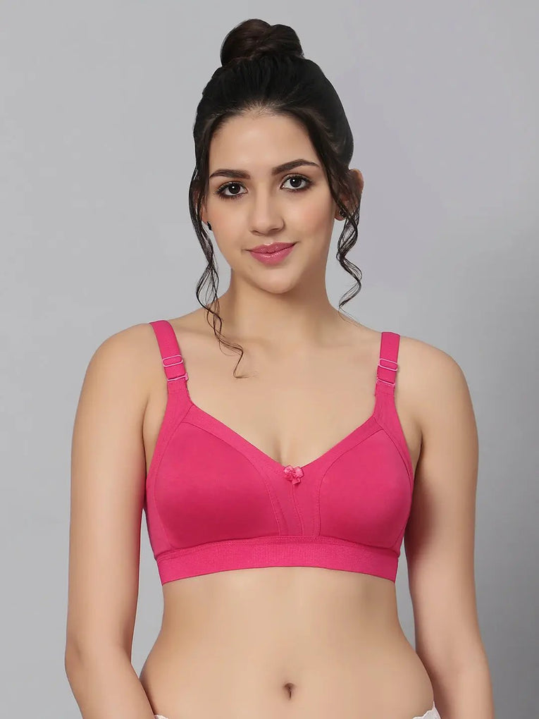 Bluenixie BN2514_Teesta C & D Cups Cotton Rich Full Coverage T-Shirt Bra