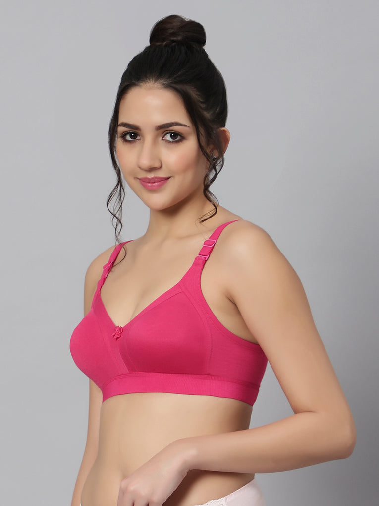Bluenixie BN2514_Teesta C & D Cups Cotton Rich Full Coverage T-Shirt Bra