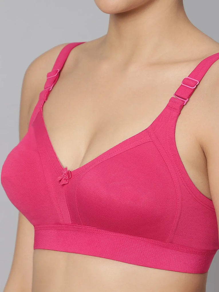 Bluenixie BN2514_Teesta C & D Cups Cotton Rich Full Coverage T-Shirt Bra