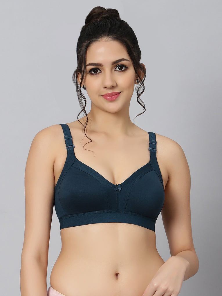 Bluenixie BN2514_Teesta C & D Cups Cotton Rich Full Coverage T-Shirt Bra