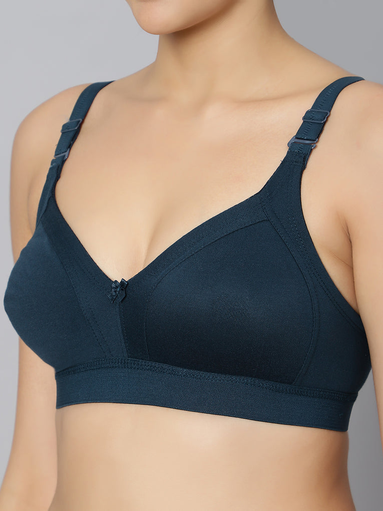 Bluenixie BN2514_Teesta C & D Cups Cotton Rich Full Coverage T-Shirt Bra