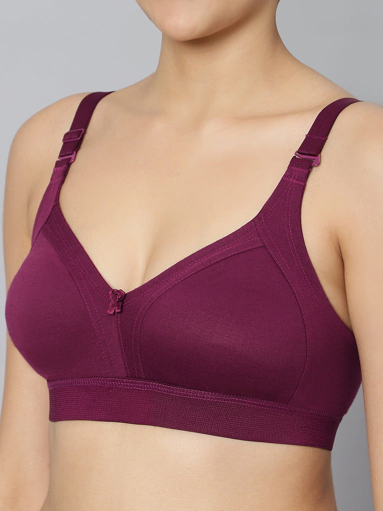 Bluenixie BN2514_Teesta_E Cups Full Coverage T Shirt Bra