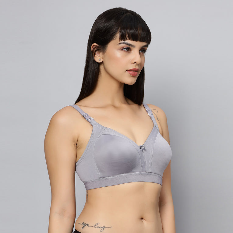 Bluenixie BN2514_Teesta C & D Cups Cotton Rich Full Coverage T-Shirt Bra