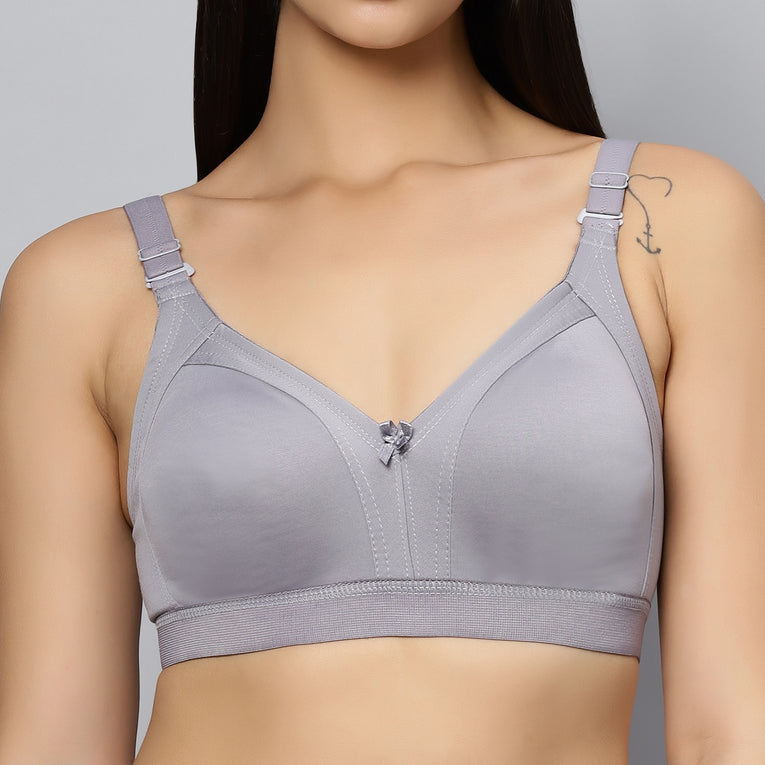 Bluenixie BN2514_Teesta C & D Cups Cotton Rich Full Coverage T-Shirt Bra