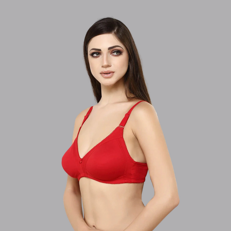 Bluenixie BN0210_Luxuriant Cotton Rich Full Coverage T-Shirt Bra