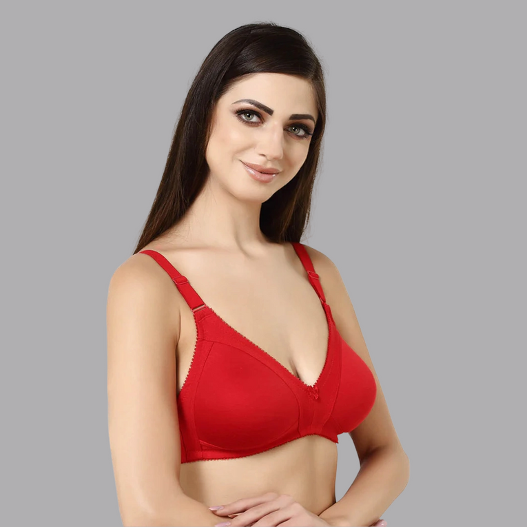 Bluenixie BN0210_Luxuriant Cotton Rich Full Coverage T-Shirt Bra