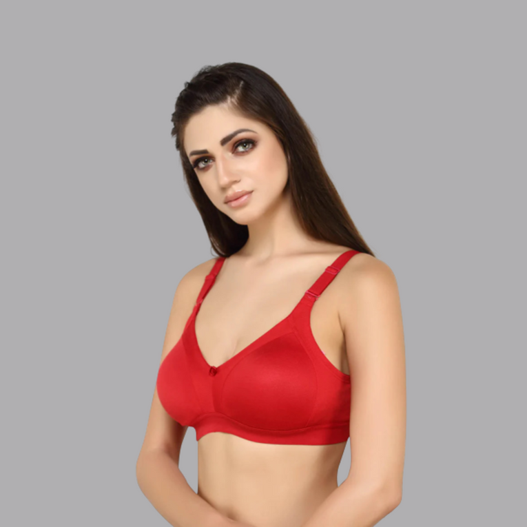 Bluenixie BN2514_Teesta C & D Cups Cotton Rich Full Coverage T-Shirt Bra