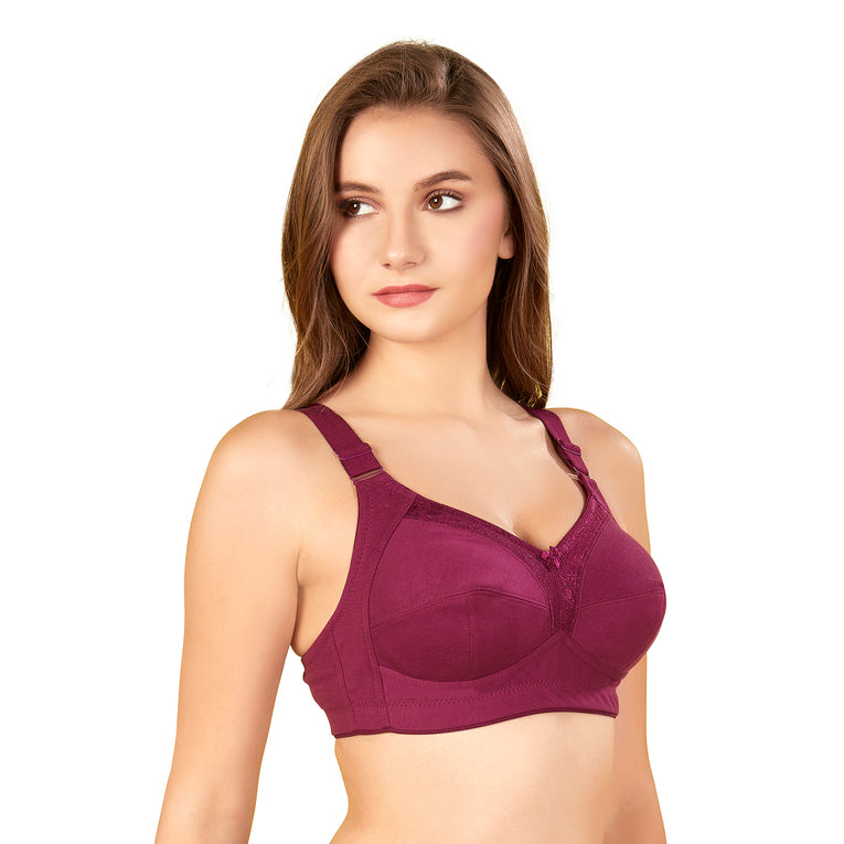 Bluenixie BN2204_Monica Plus Size Cotton Rich Full Coverage Bra