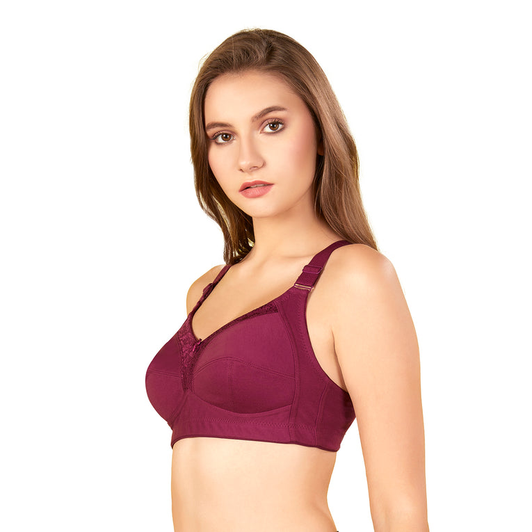 Bluenixie BN2204_Monica Plus Size Cotton Rich Full Coverage Bra