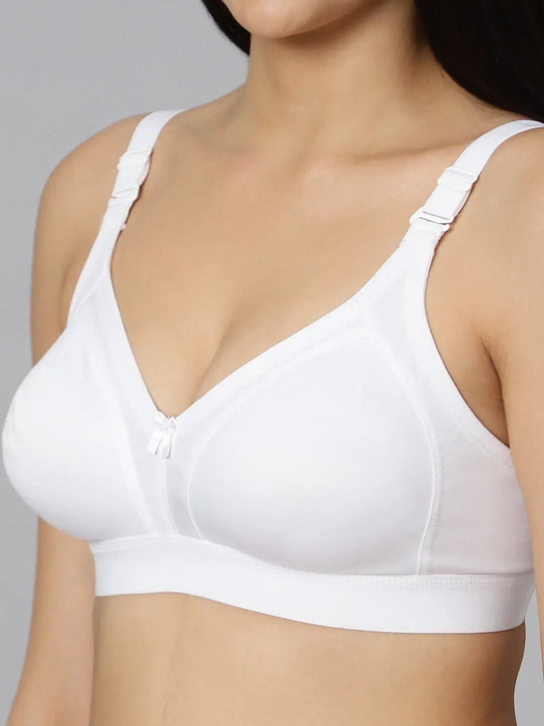 Bluenixie BN2514_Teesta C & D Cups Cotton Rich Full Coverage T-Shirt Bra
