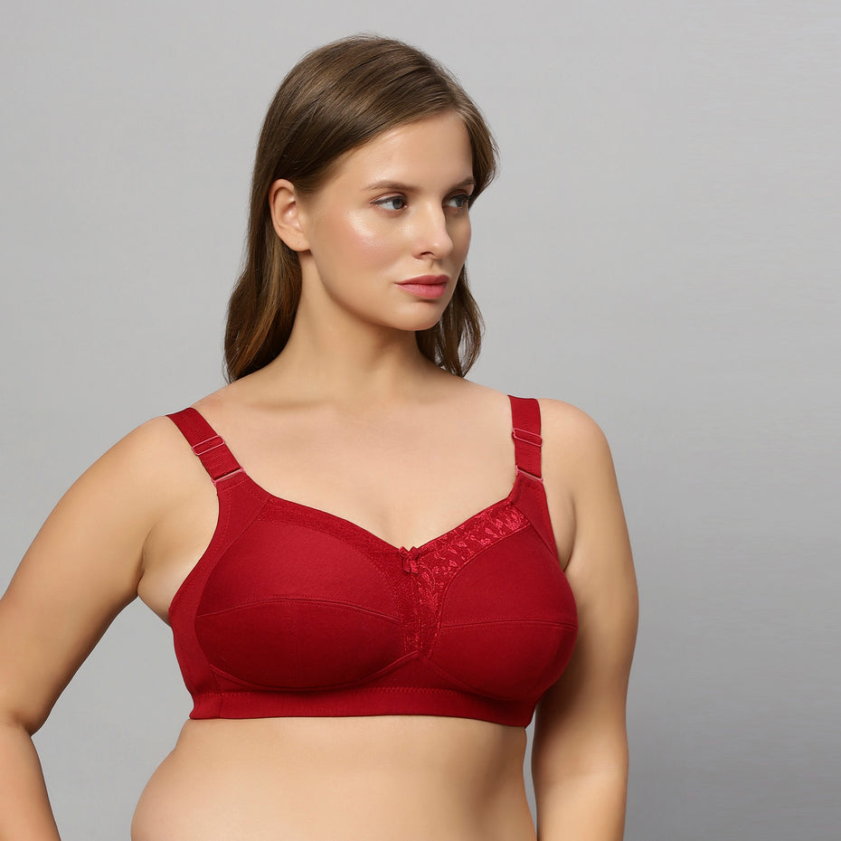 Bluenixie BN2204_Monica Plus Size Cotton Rich Full Coverage Bra